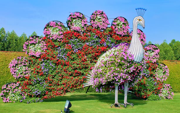 Dubai Miracle Garden 