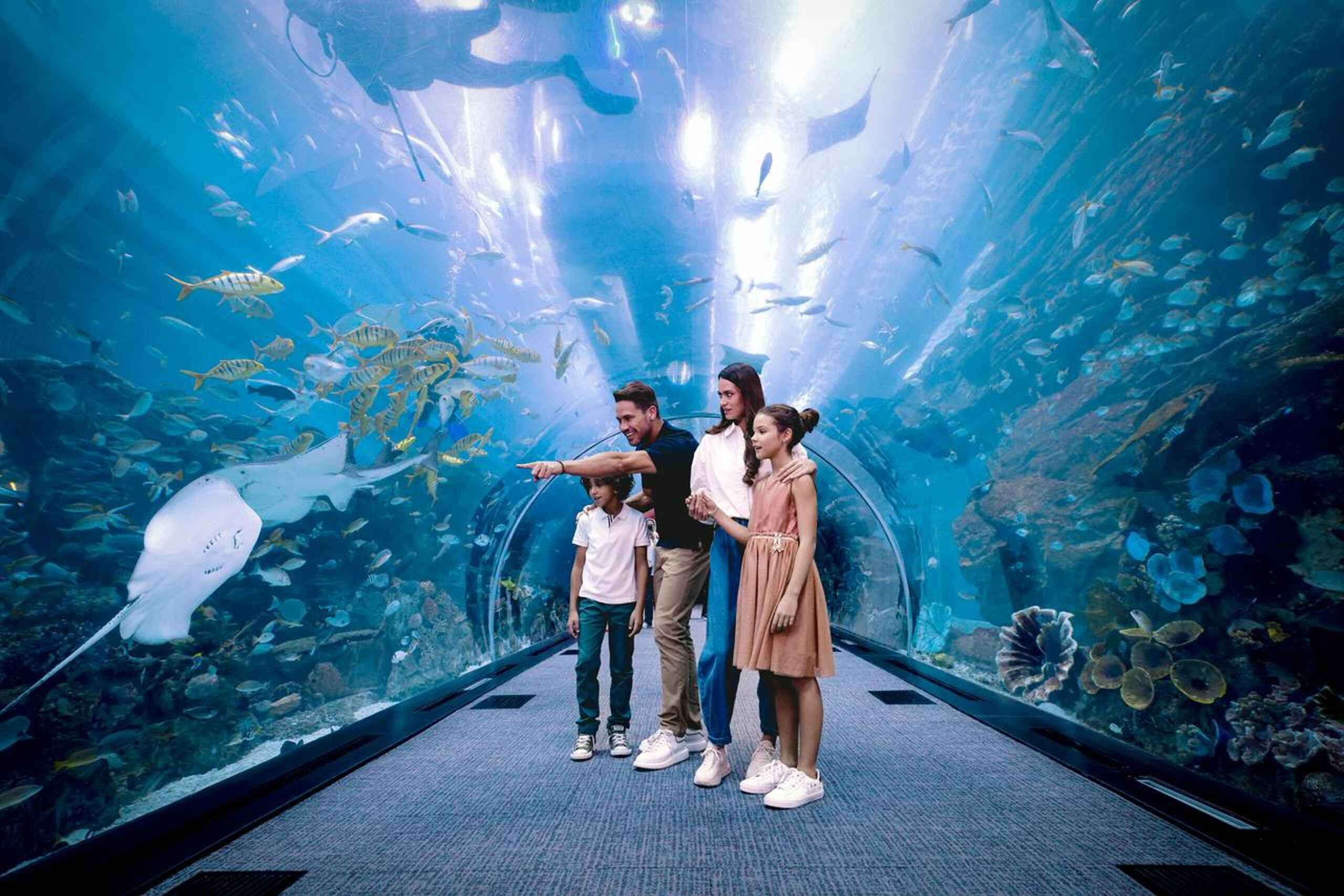 Dubai Aquarium & Underwater Zoo